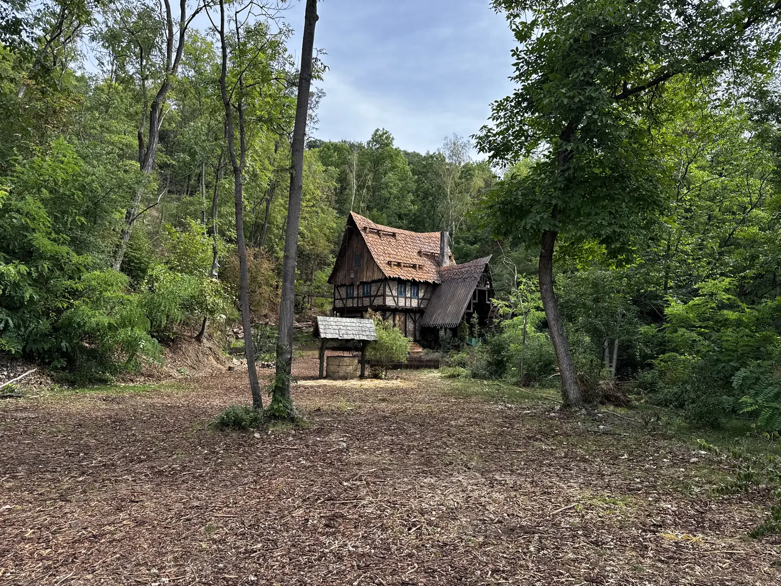 Wide exterior view of The Mill surrounded by forest